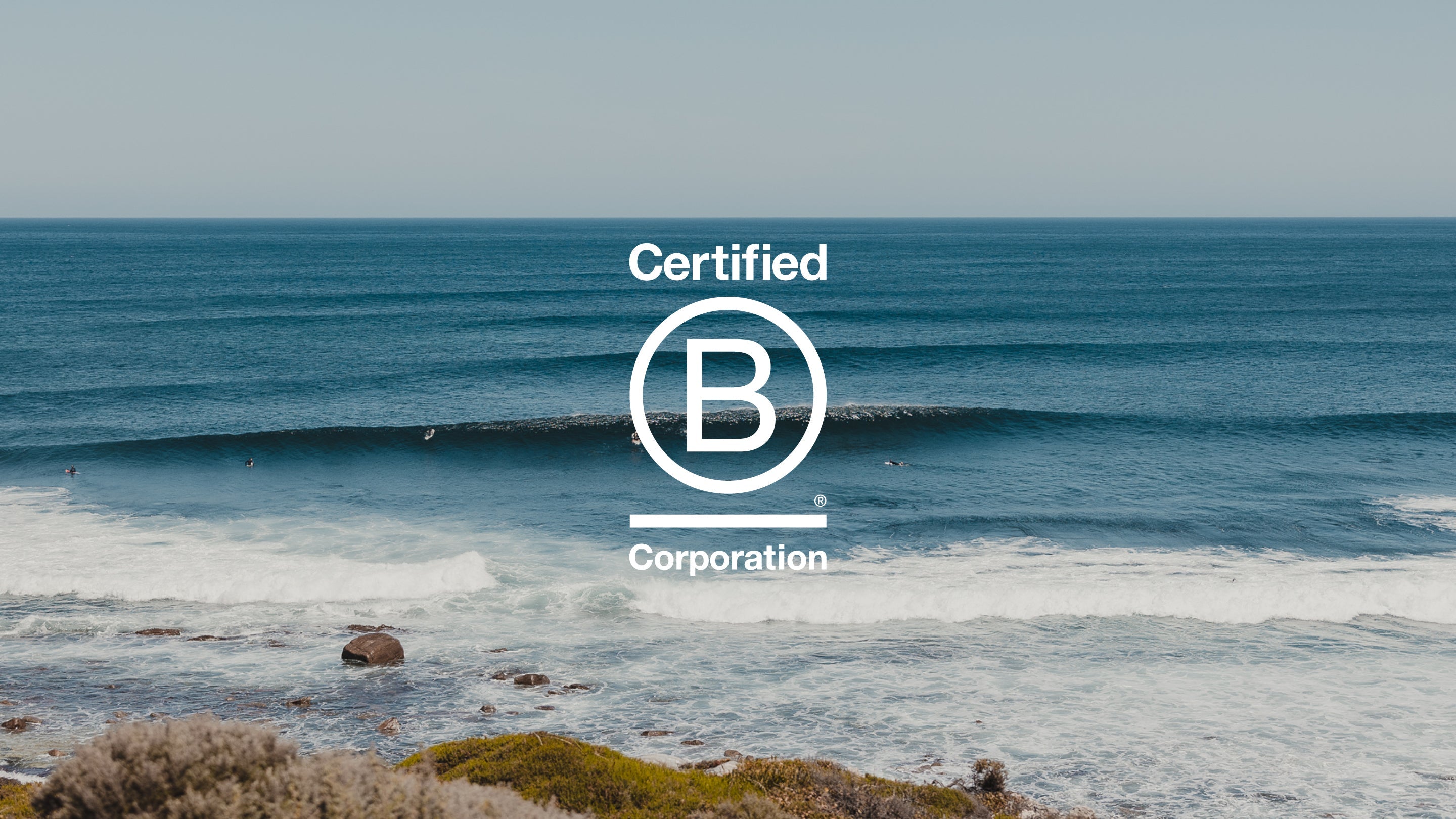 Creatures of Leisure is B Corp Certified!